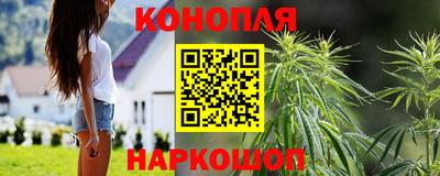 Альфа ПВП Донецк