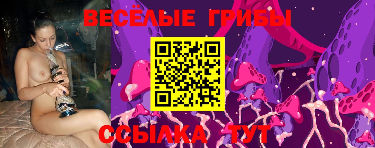 Галлюциногенные грибы Psilocybine cubensis  Псилоцибиновые грибы прущие грибы  Людиново  Вход с VPN 