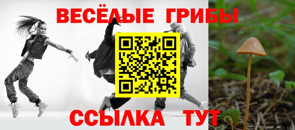 Псилоцибиновые грибы Psilocybine cubensis Людиново